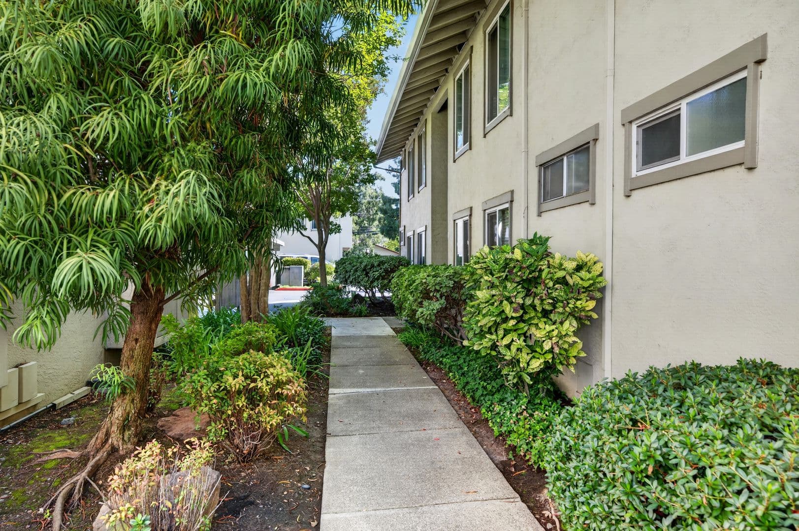 Walnut Creek Condo: 1241 Homestead Avenue #206