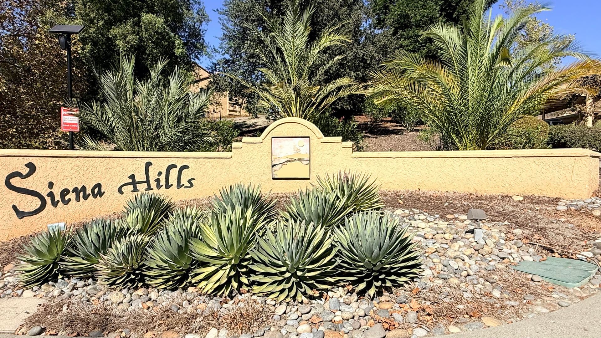San Ramon Condo: 715 Watson Canyon Court, #206