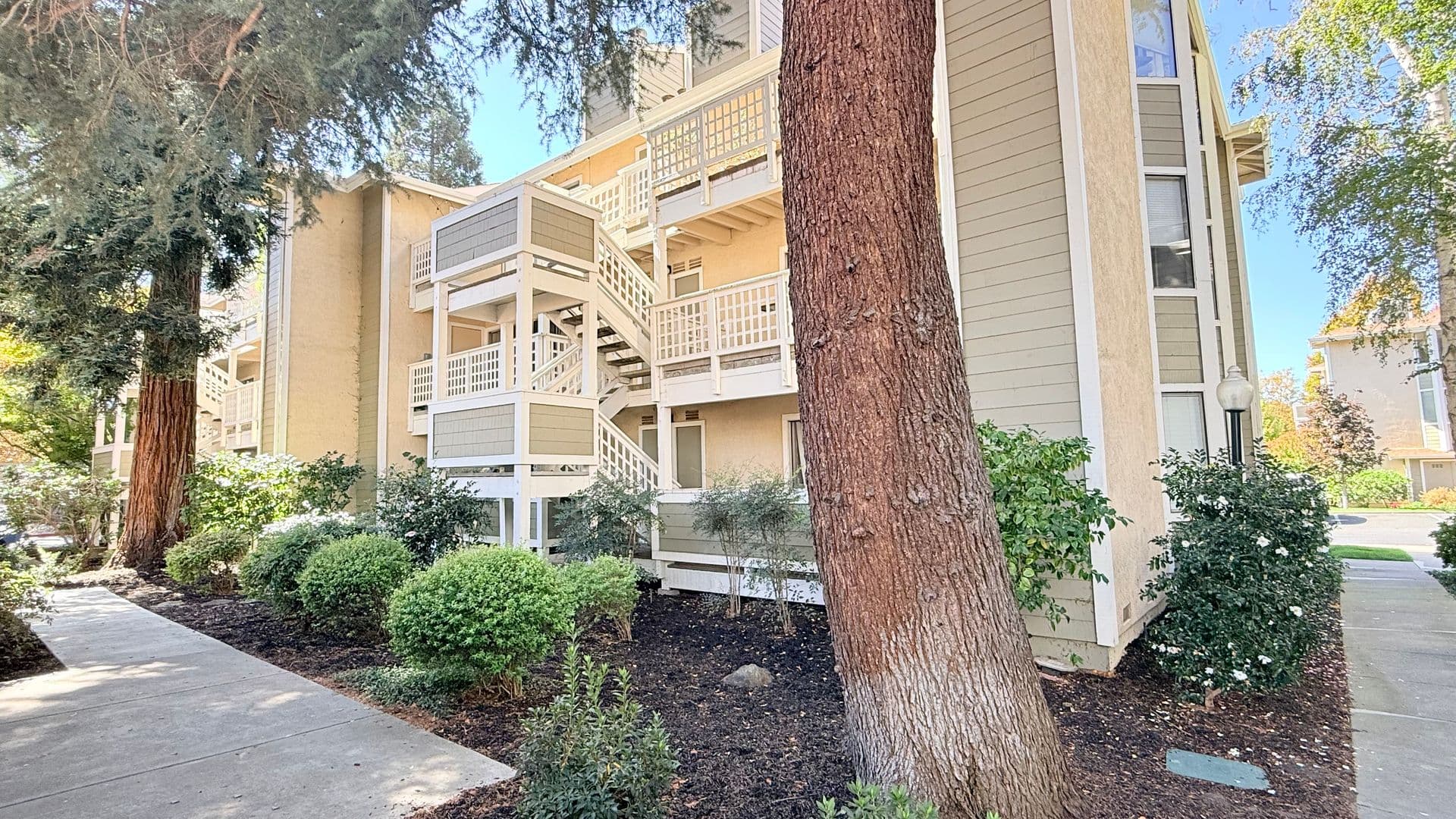 Walnut Creek House: 2597 Oak Road #B