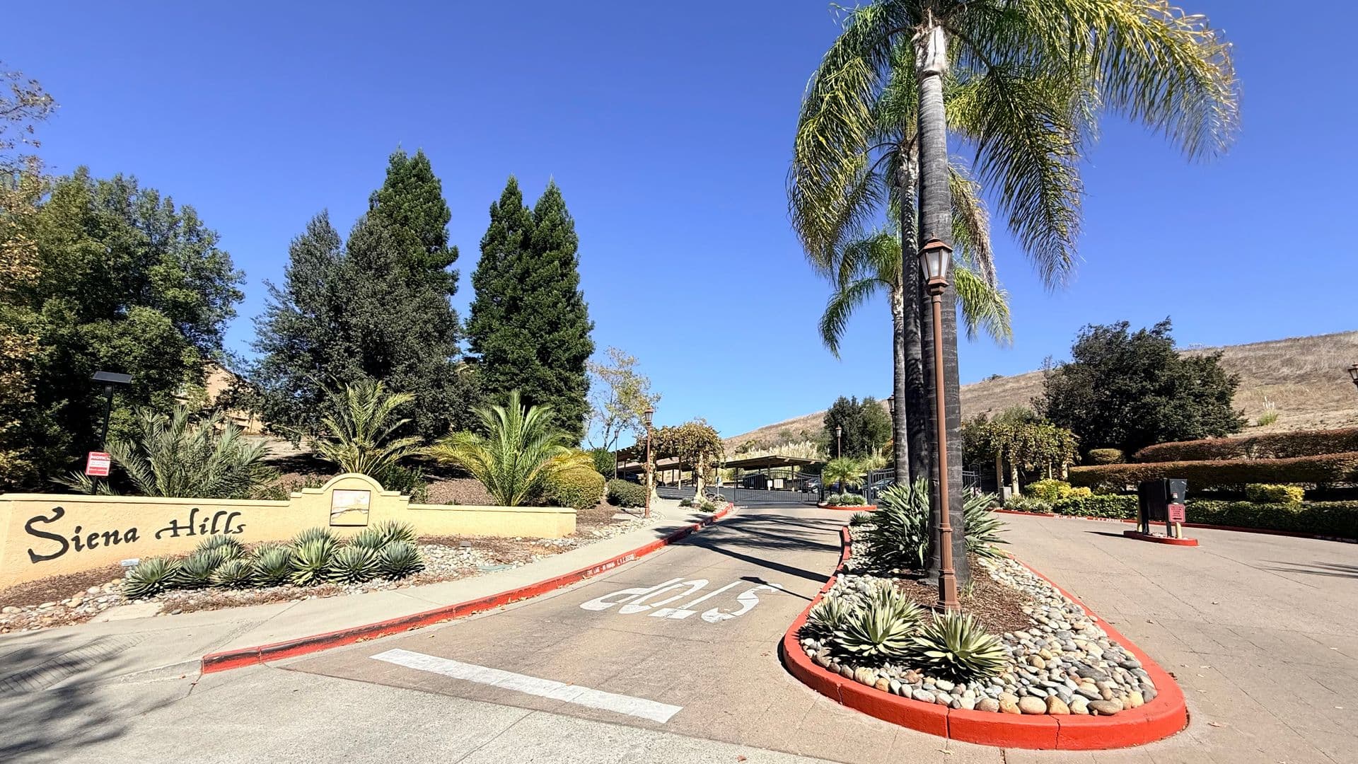 San Ramon Condo: 715 Watson Canyon Court, #206
