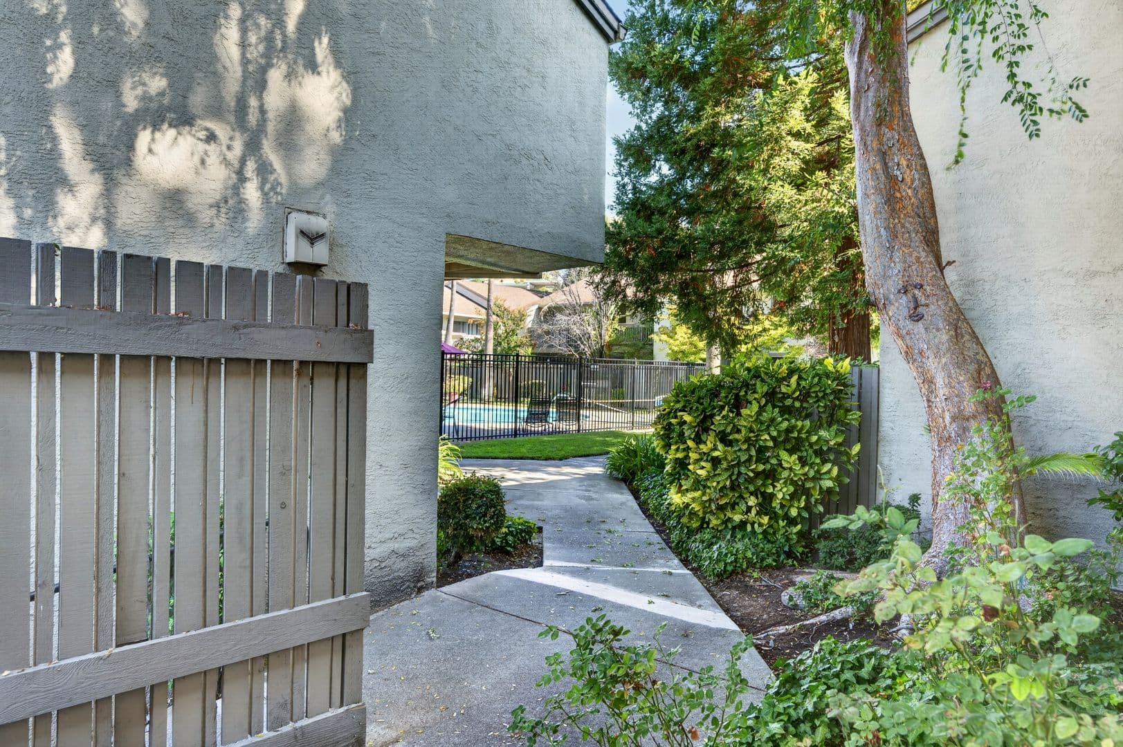 Walnut Creek Condo: 1241 Homestead Avenue #206