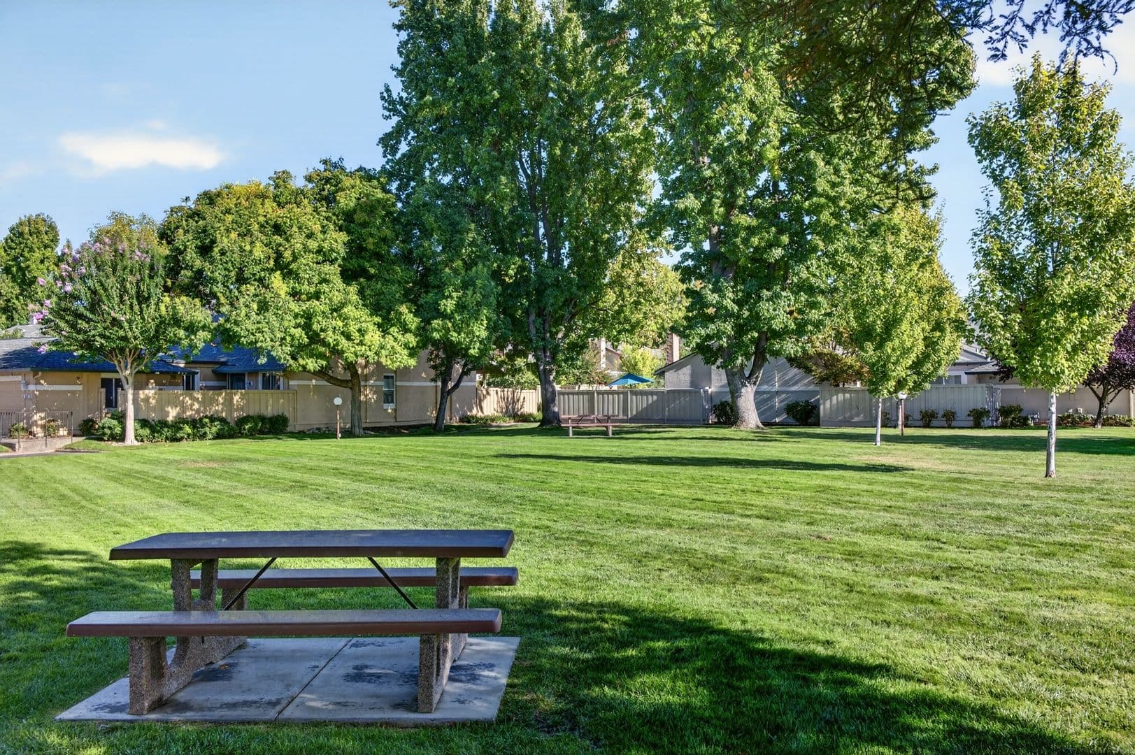 Walnut Creek Townhome: 1978 La Corso Court