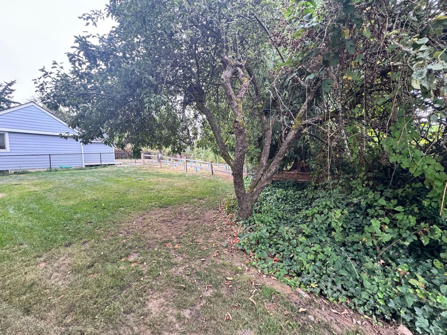 Anacortes Apartment: 3804 Q Ave