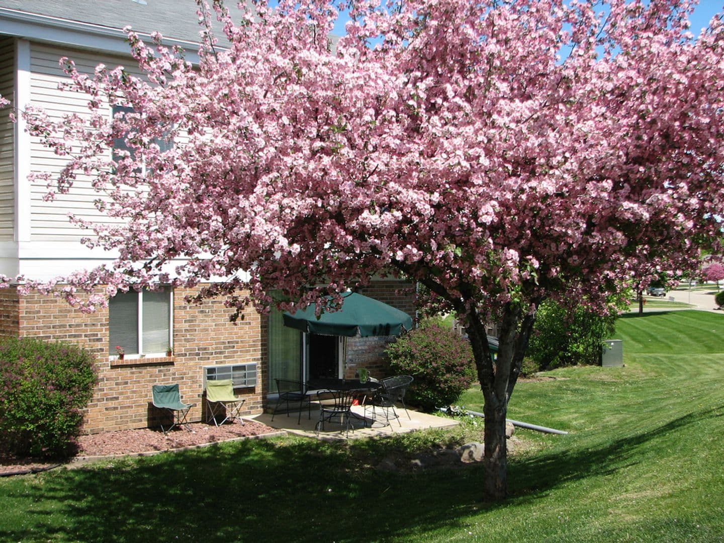 Stoughton Apartment: 335-336 Olson Court