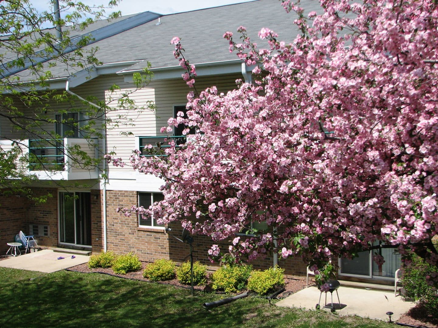 Stoughton Apartment: 335-336 Olson Court