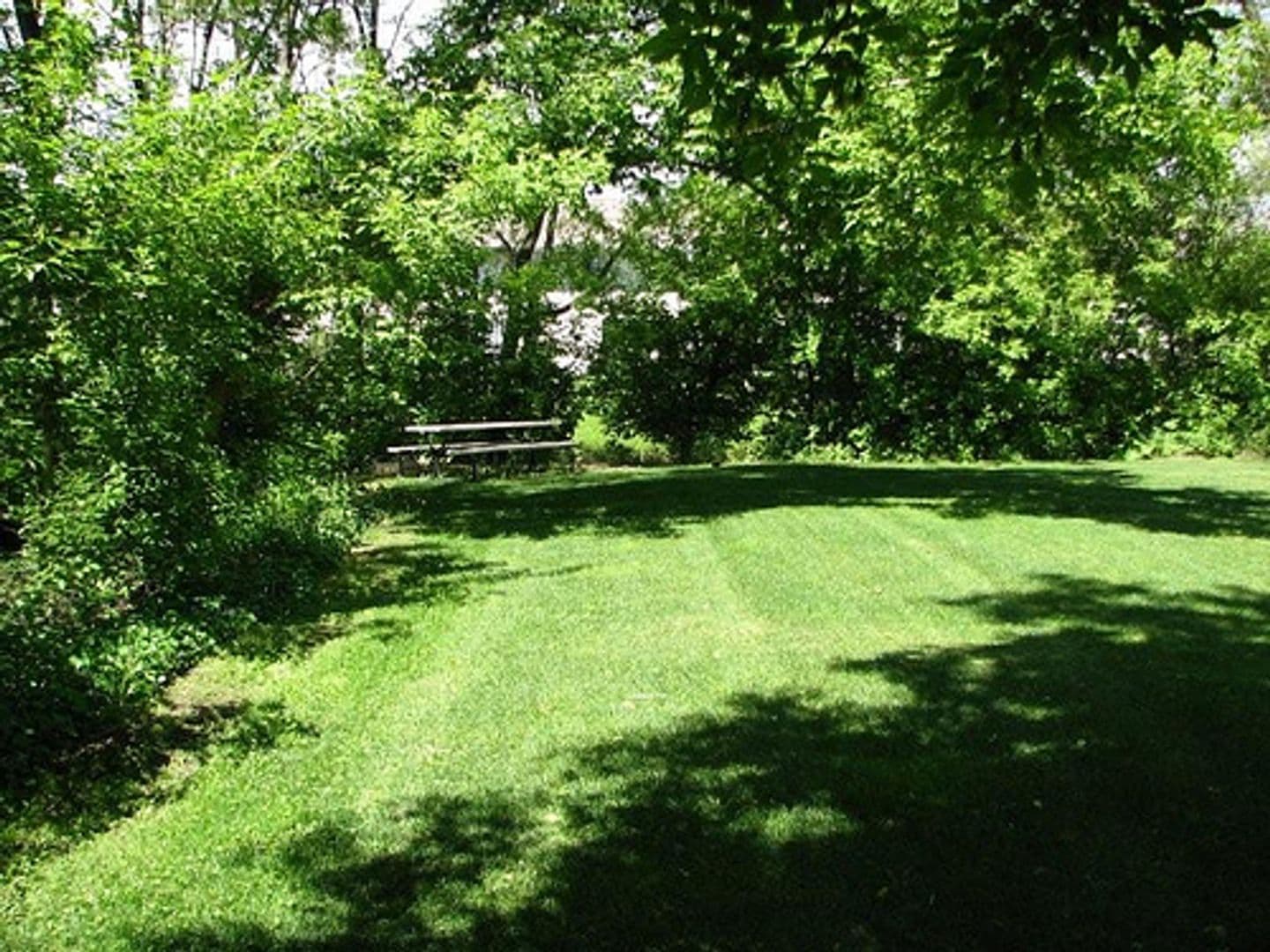 Stoughton Apartment: 335-336 Olson Court