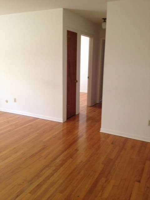 Albany Apartment: 199 South Allen Street