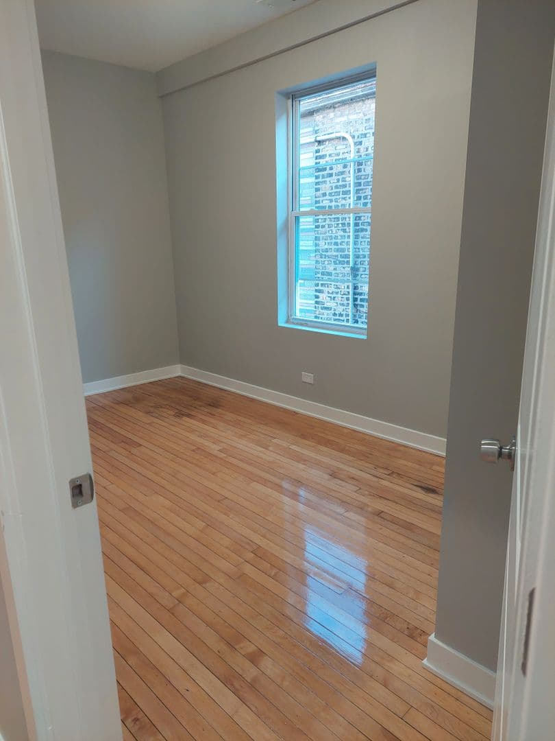 Chicago Apartment: 4117 S Albany Ave