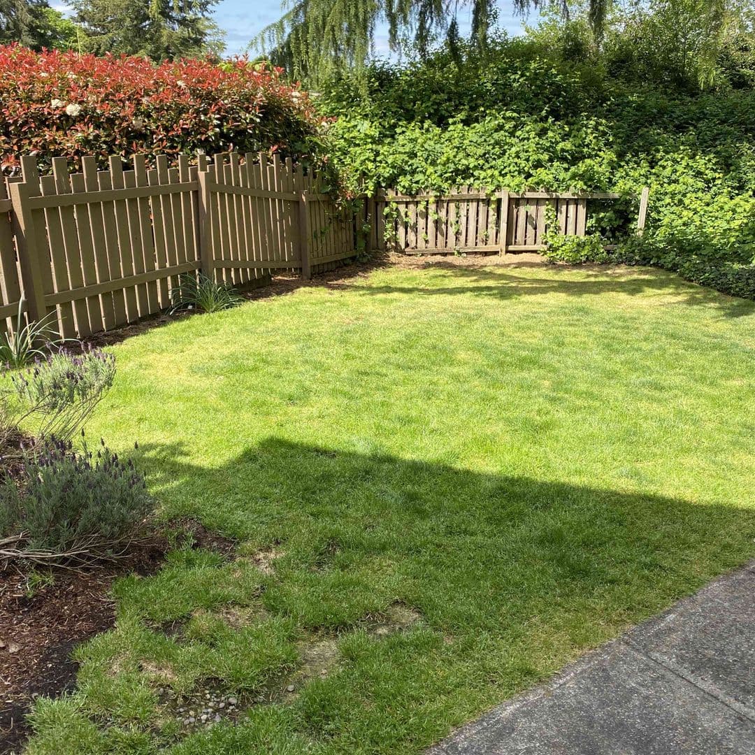 Corvallis Apartment: 804 NE 2nd Street