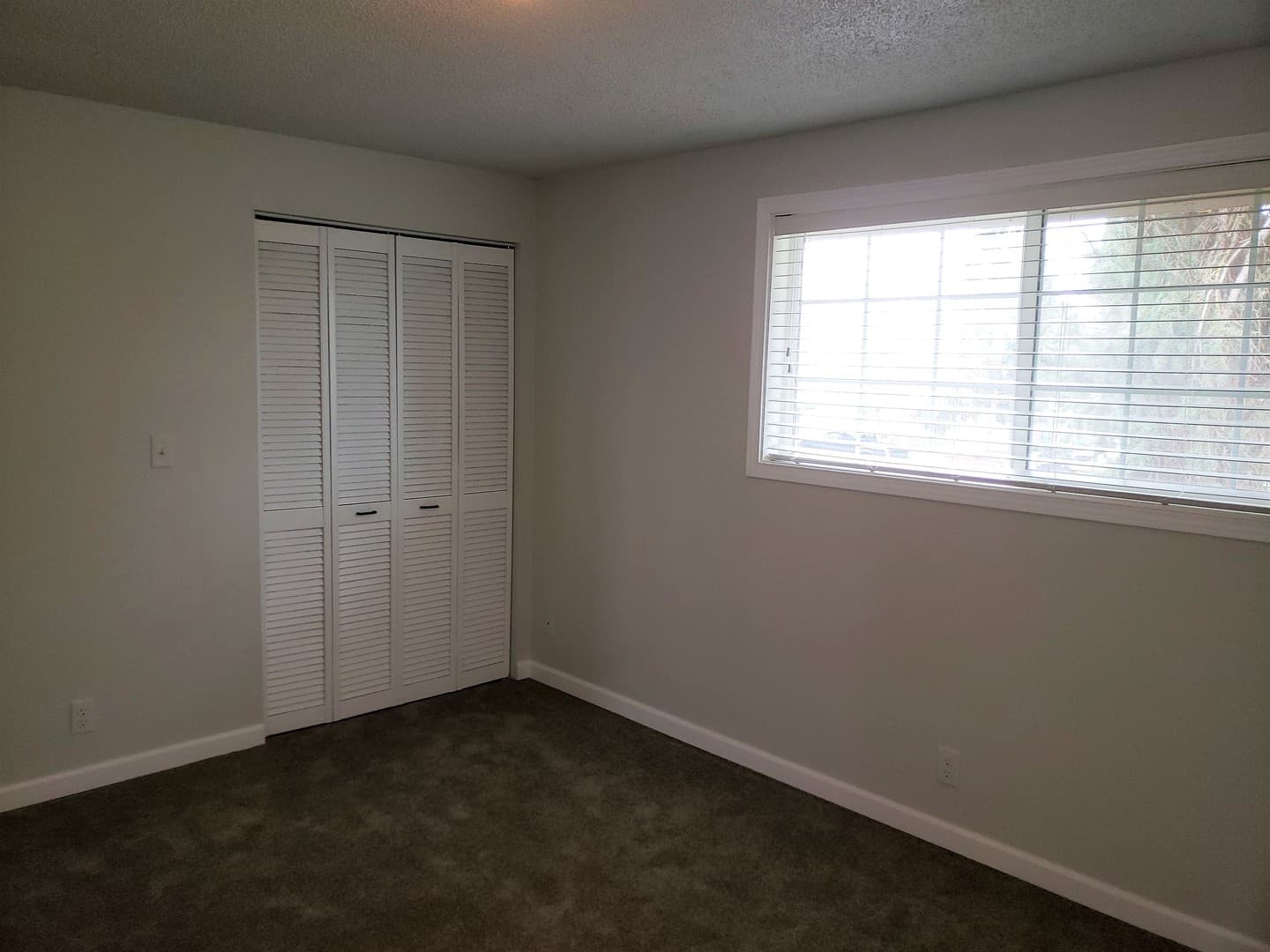Eugene Townhome: 4337 Sean Street