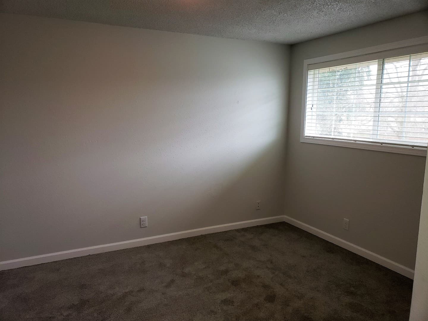 Eugene Townhome: 4337 Sean Street