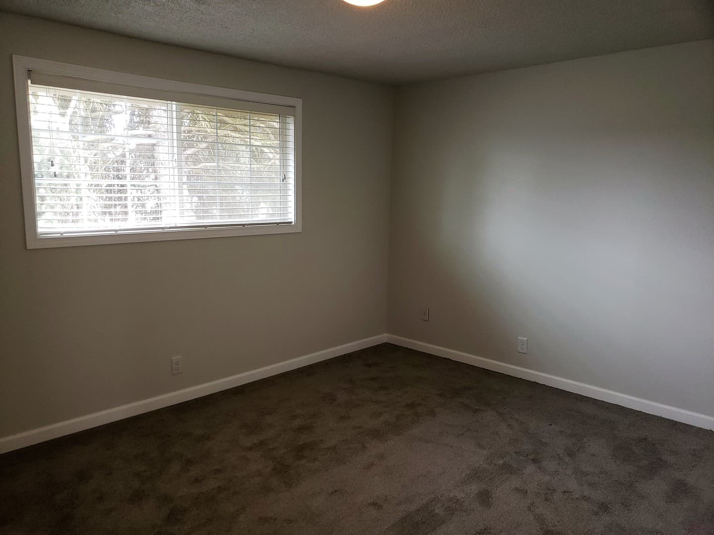 Eugene Townhome: 4337 Sean Street
