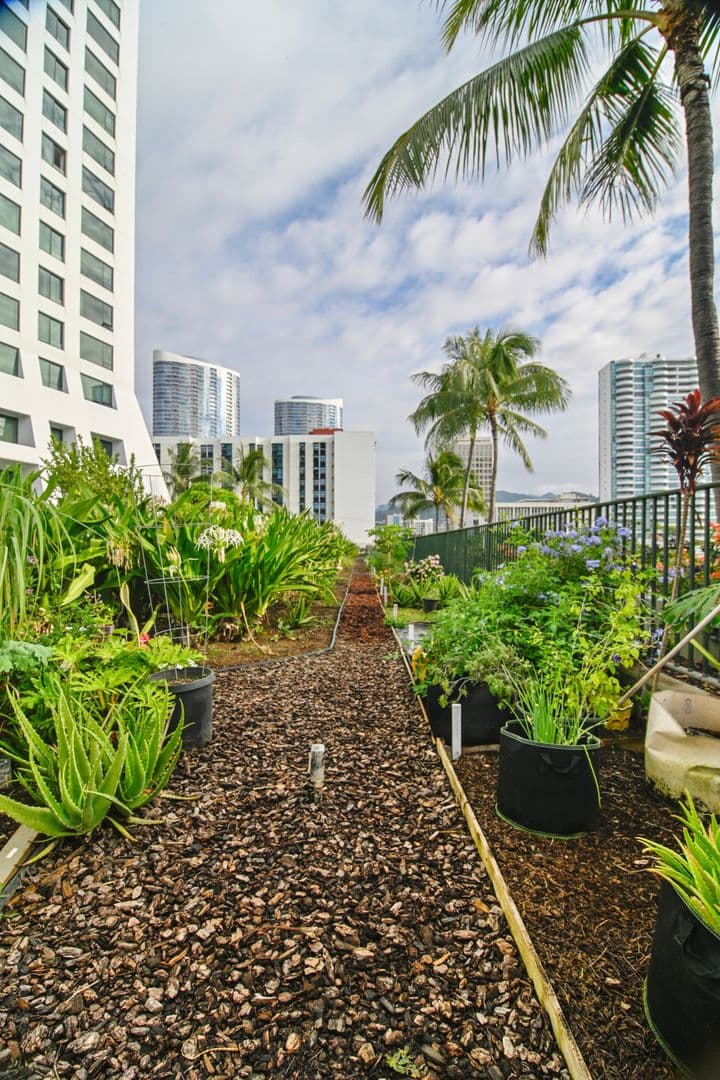 Honolulu Condo: 88 Piikoi Street #1009