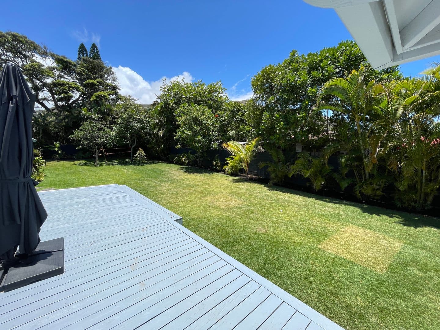 Kailua House: 1453 Aalapapa Dr