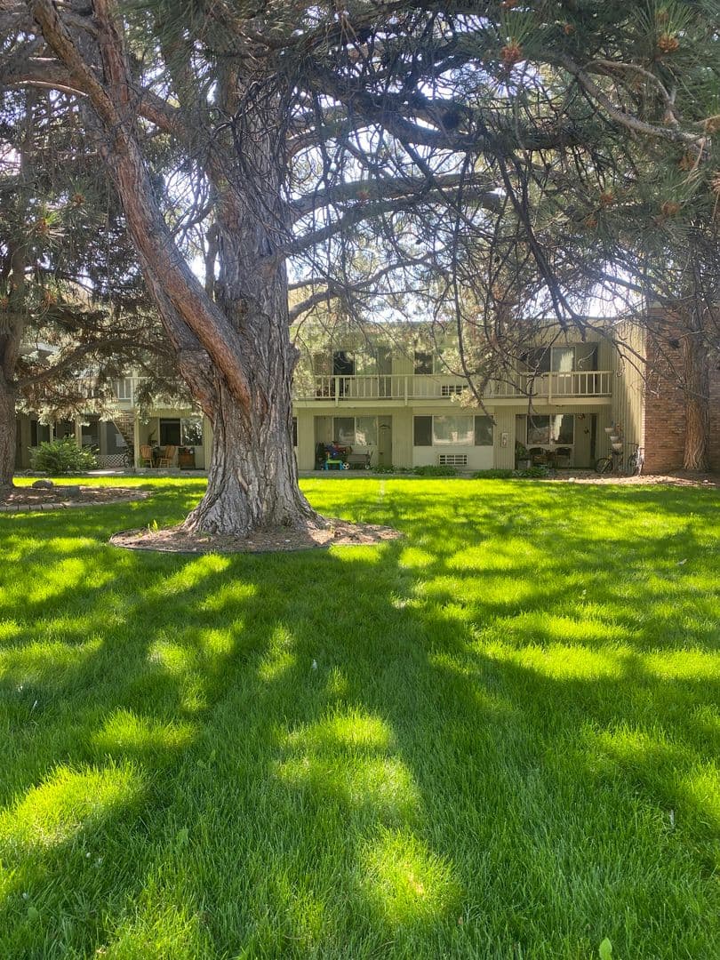 Nampa Apartment: 401 S Holly St