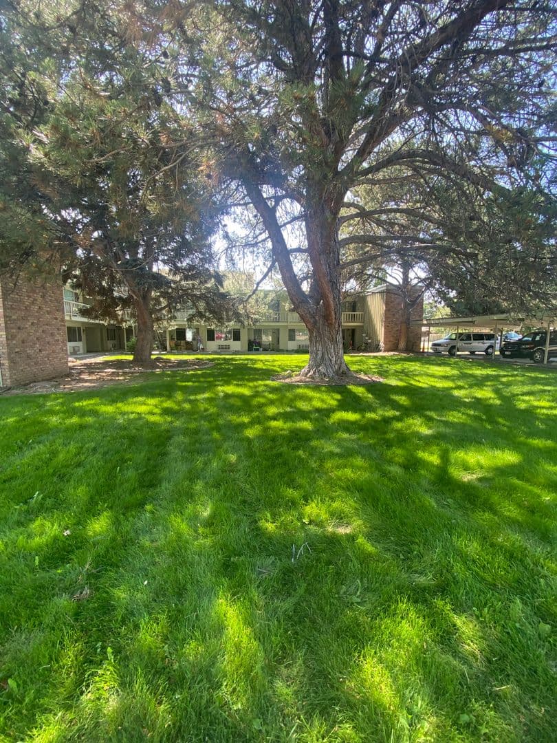 Nampa Apartment: 401 S Holly St