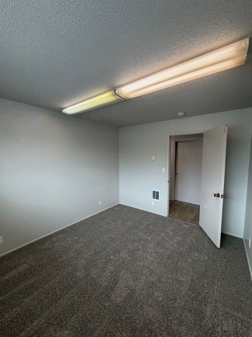 Nampa Apartment: 401 S Holly St