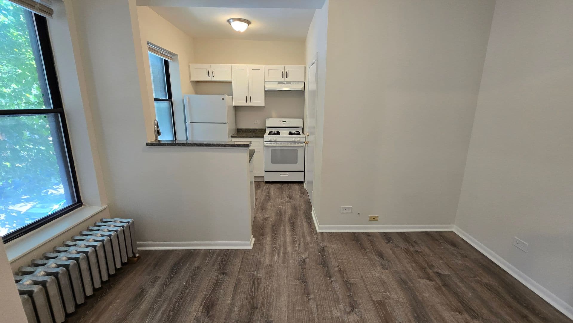 Chicago Apartment: 7722-28 N. Marshfield