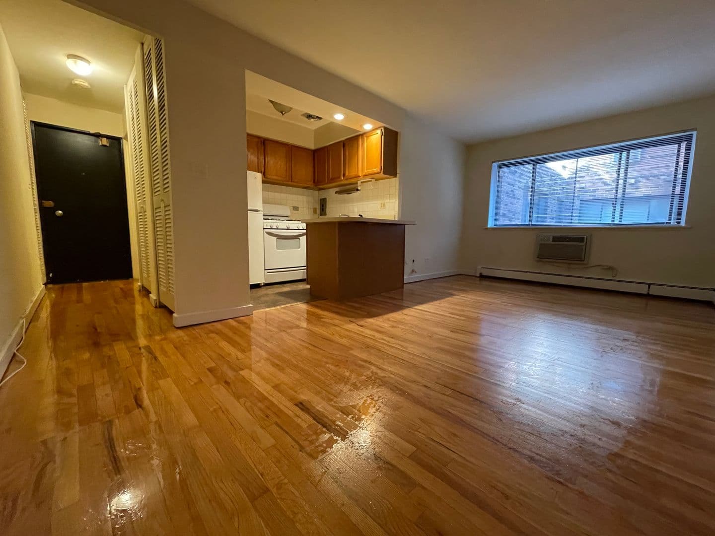 Chicago Apartment: 421-31 W. Barry