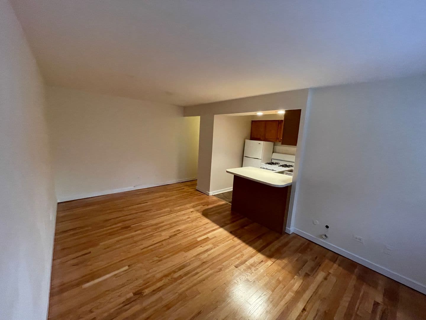 Chicago Apartment: 421-31 W. Barry