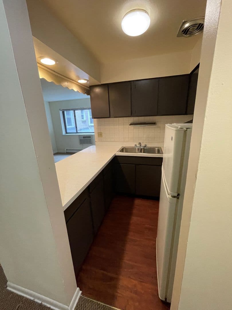 Chicago Apartment: 421-31 W. Barry