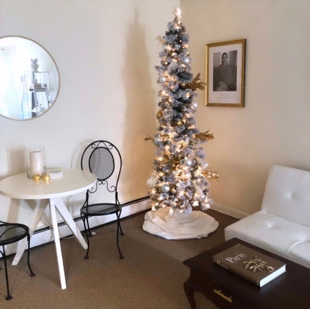 Chicago Apartment: 421-31 W. Barry