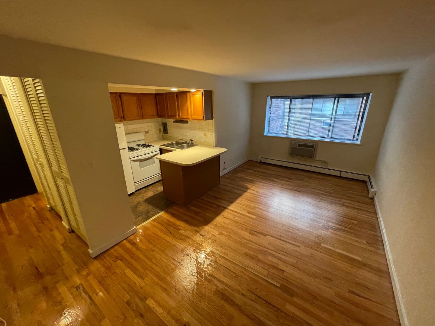 Chicago Apartment: 421-31 W. Barry