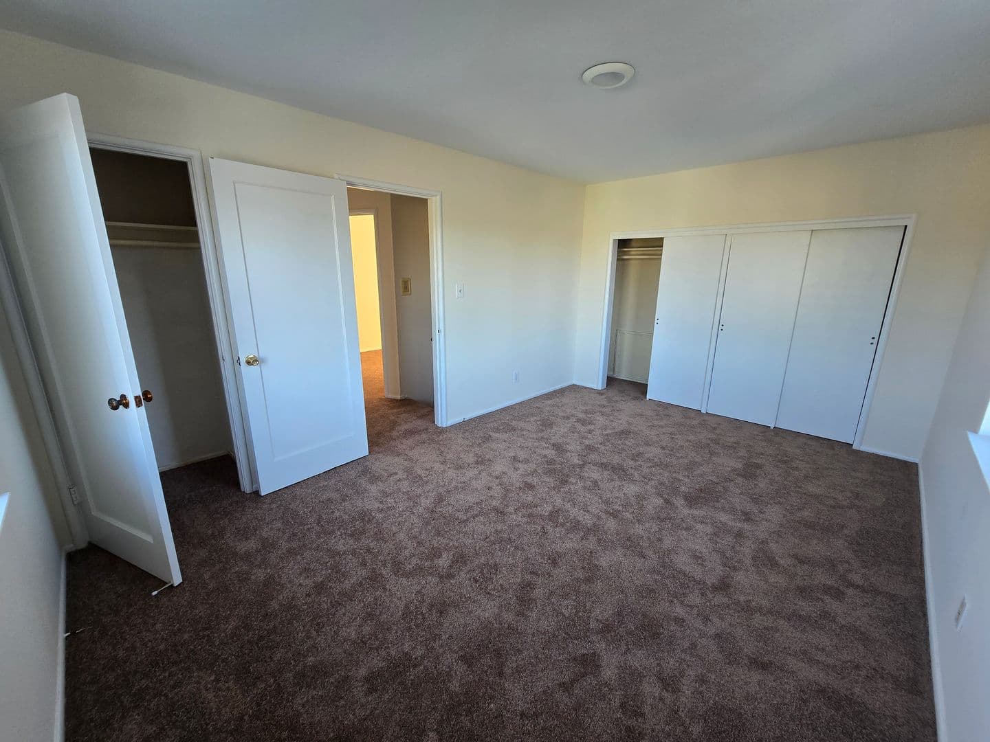 Berkeley Apartment: 1311 Curtis Street