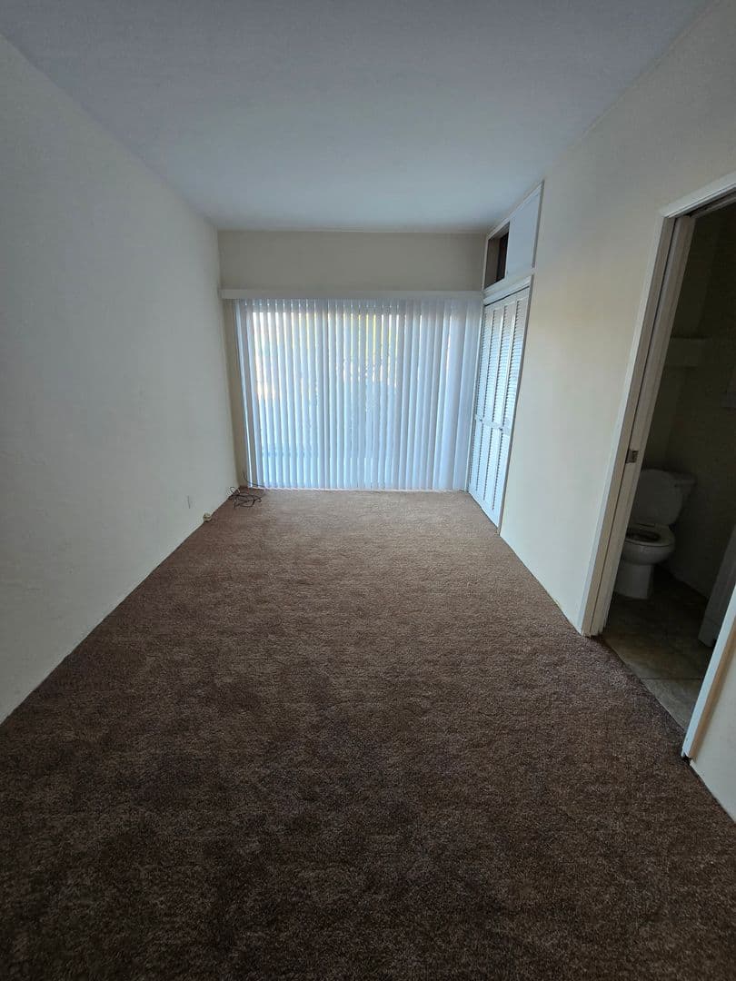 Berkeley Apartment: 1311 Curtis Street