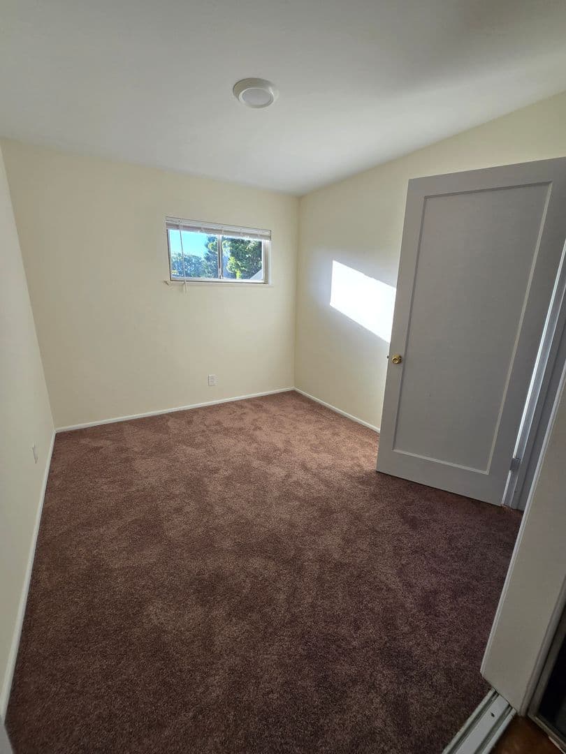 Berkeley Apartment: 1311 Curtis Street
