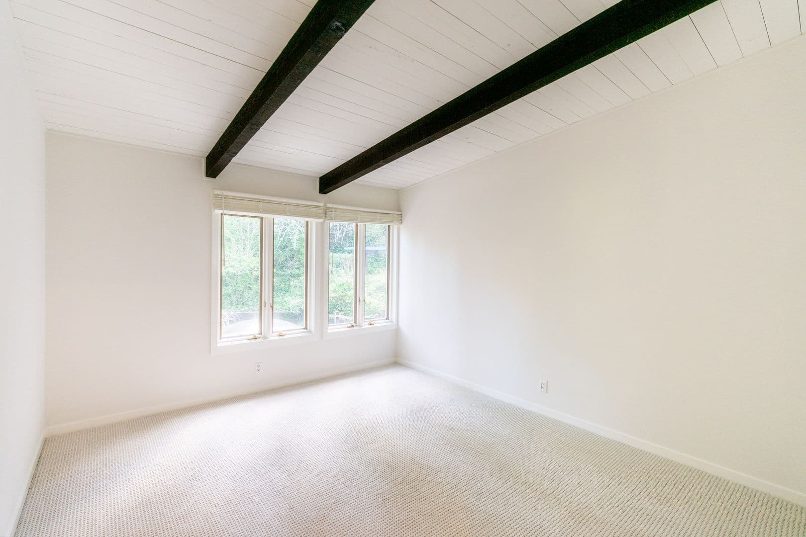 Ross House: 19 Spring Road