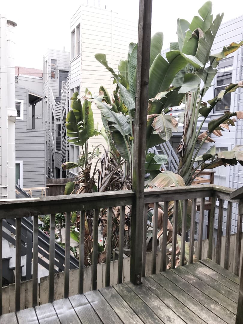 San Francisco Apartment: 585 Birch Street, #15