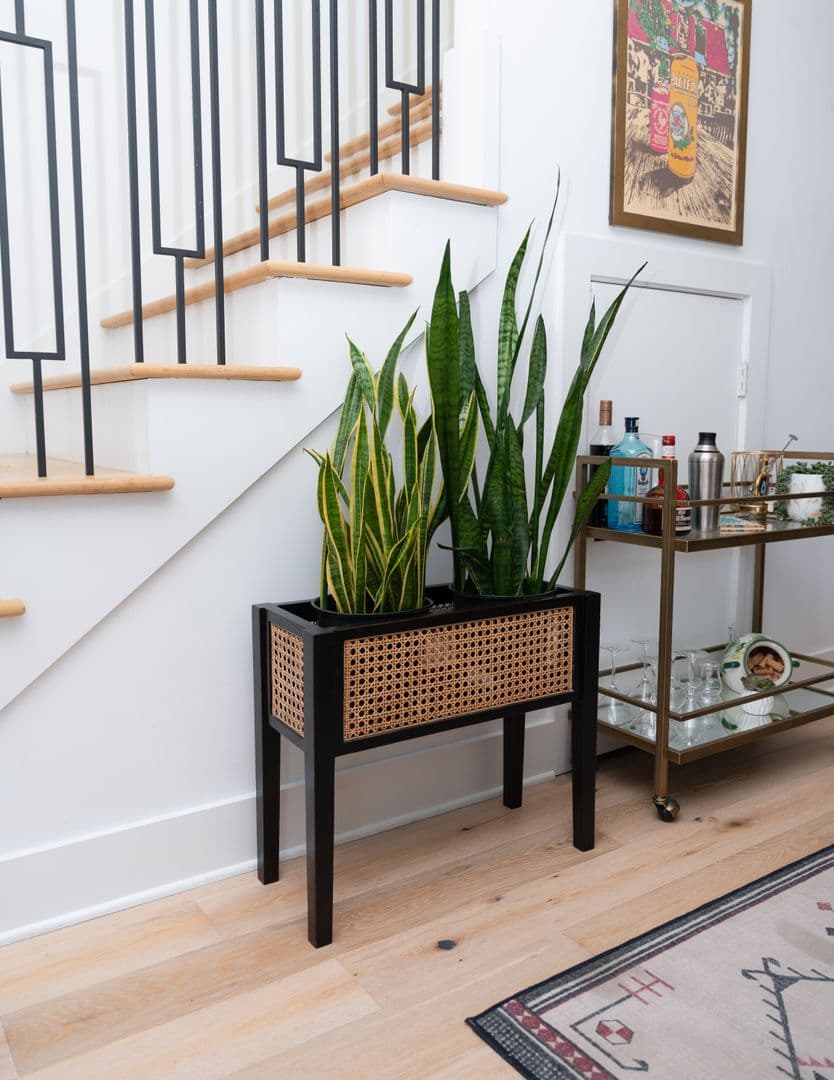 Charleston House: 104 Cooper Street
