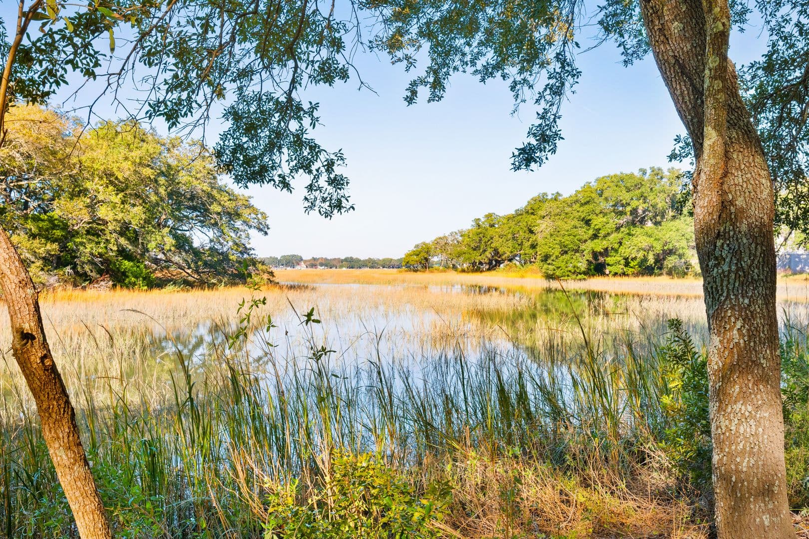 Charleston House: 1158 Fort Lamar Road