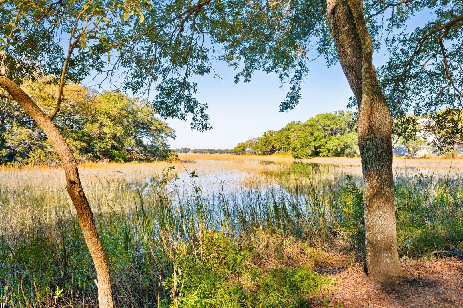 Charleston House: 1158 Fort Lamar Road