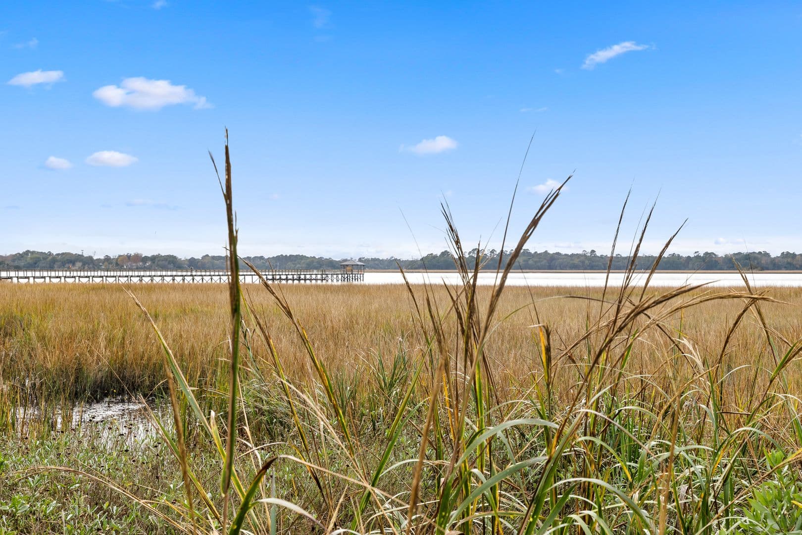 Charleston House: 189 Third Avenue