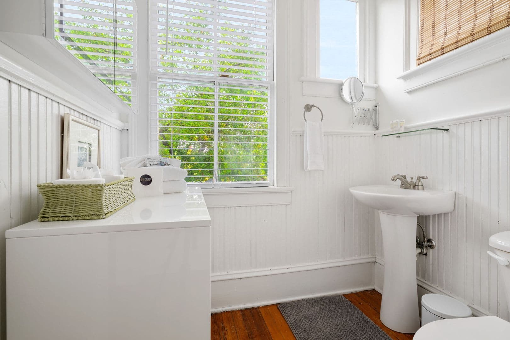 Charleston Apartment: 314 Ashley Avenue