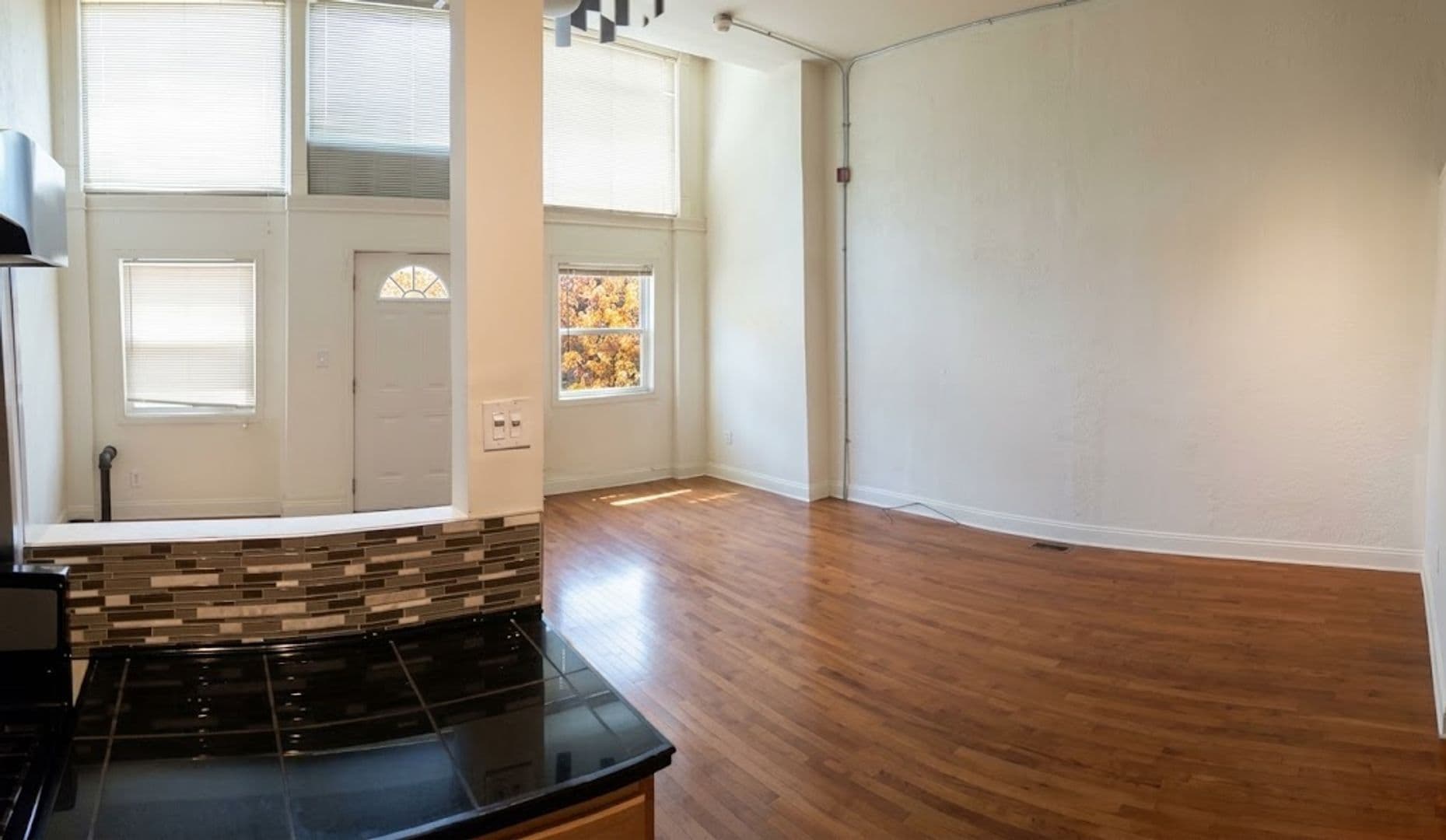 Pittsburgh Apartment: 2405 Sarah Street