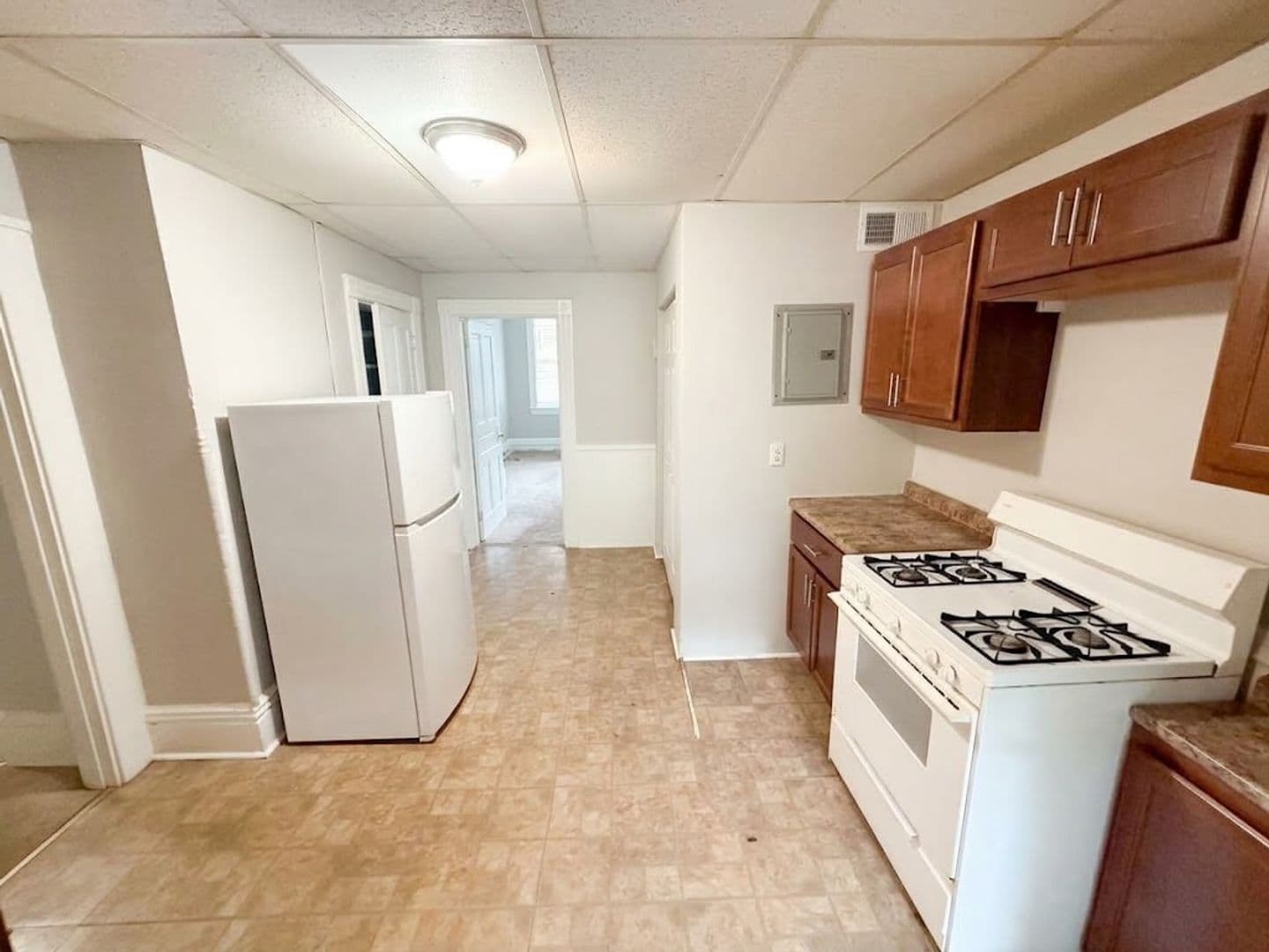 Pittsburgh Apartment: 3008 Paulowna Street