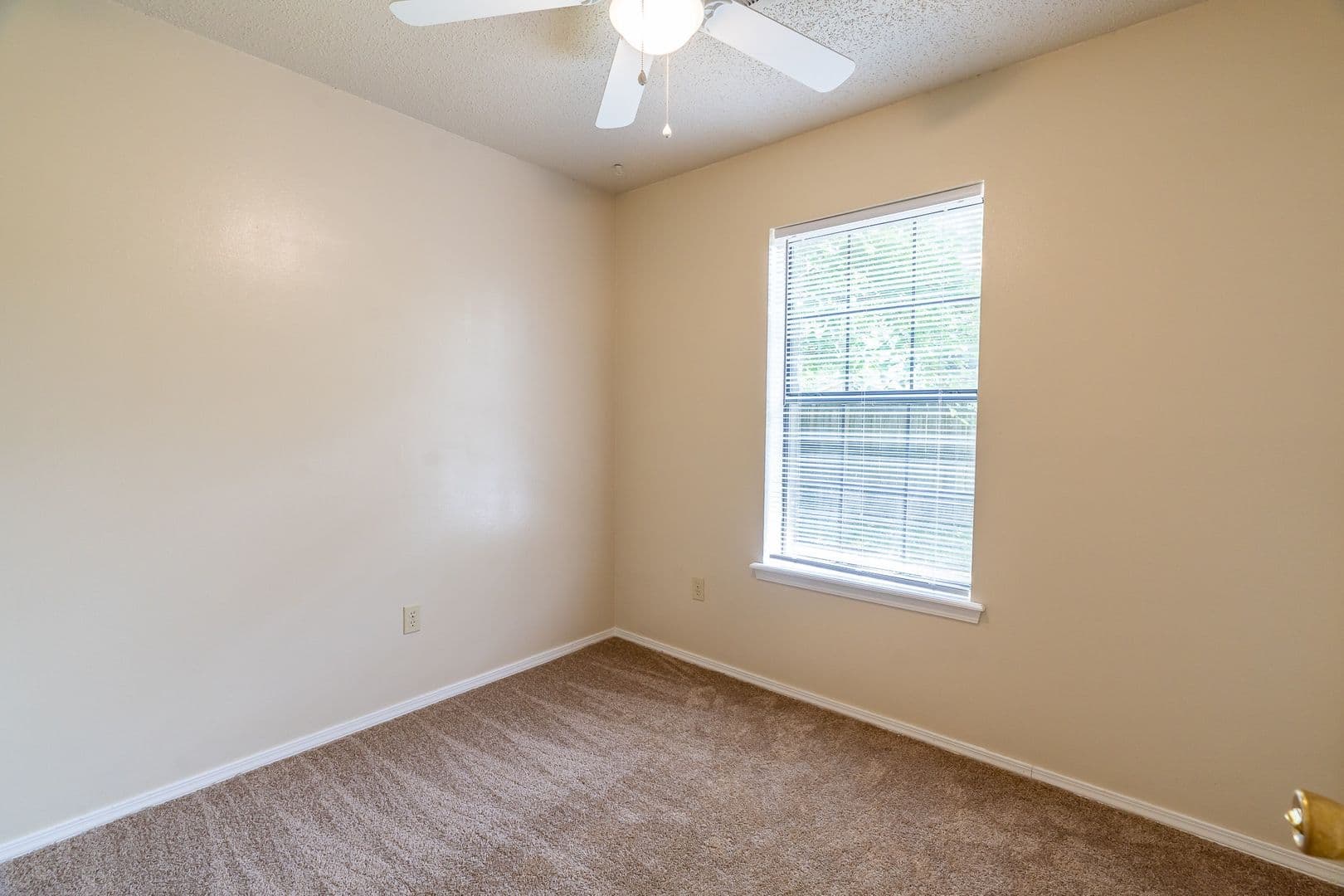 Fayetteville House: 559 S Ray Ave.