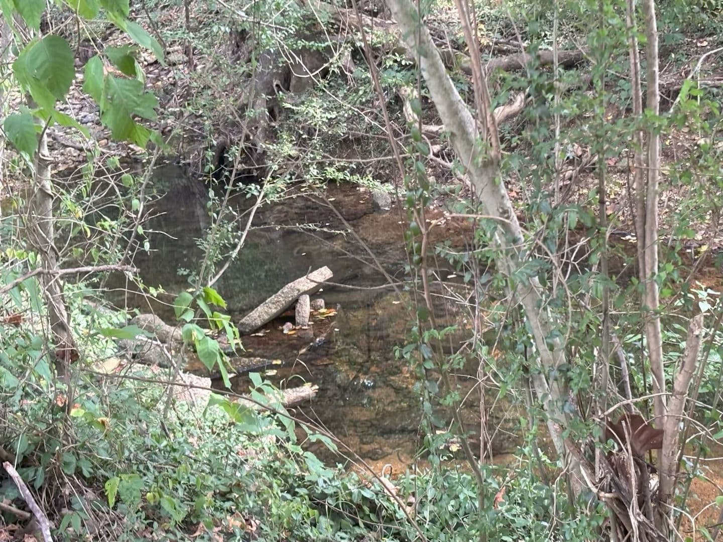 Peidmont House: 511 Bud Ave