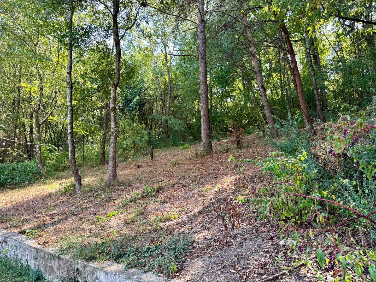 Chattanooga House: 854 Lupton Dr.