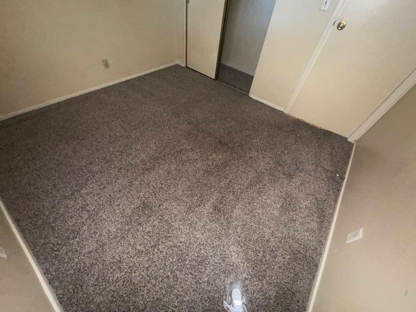 Las Vegas House: 1497 Dorothy Ave #3