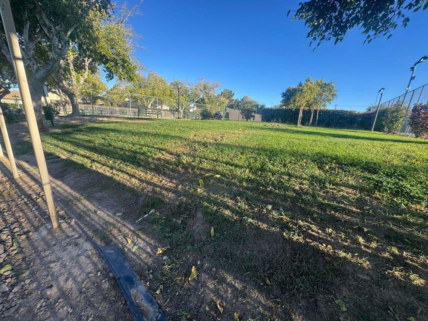 Las Vegas House: 1497 Dorothy Ave #3
