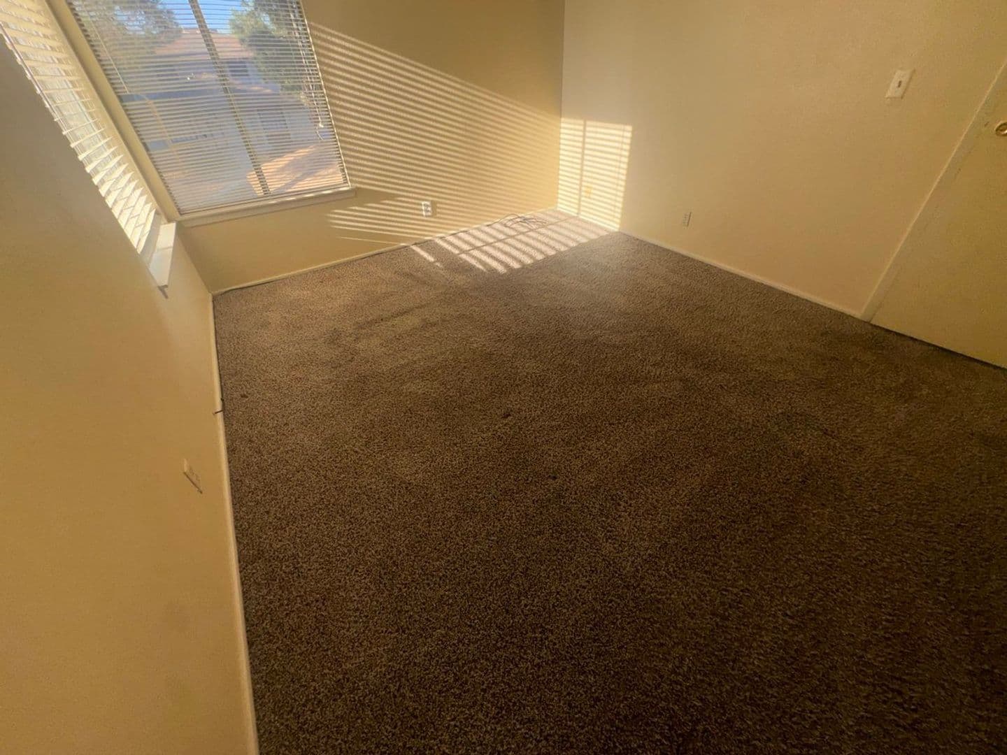 Las Vegas House: 1497 Dorothy Ave #3