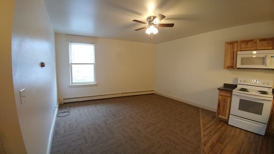 Missoula Apartment: 118 W Alder St