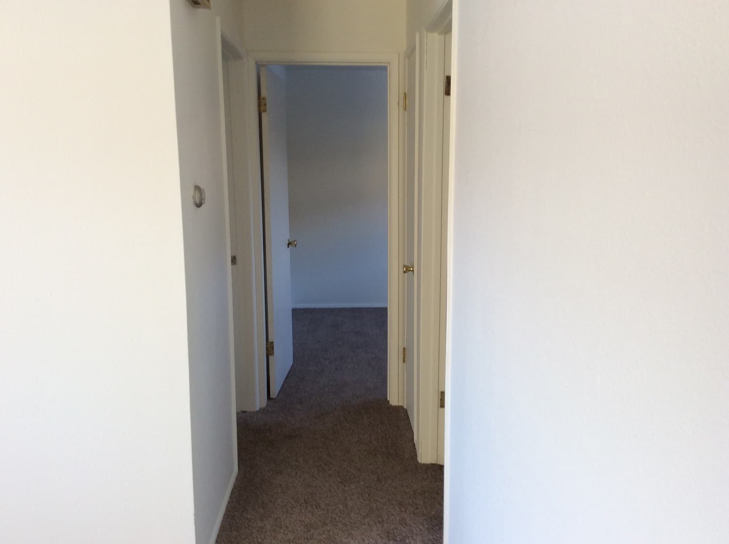 Missoula Apartment: 731/733/735 W. Sussex Ave 1-4
