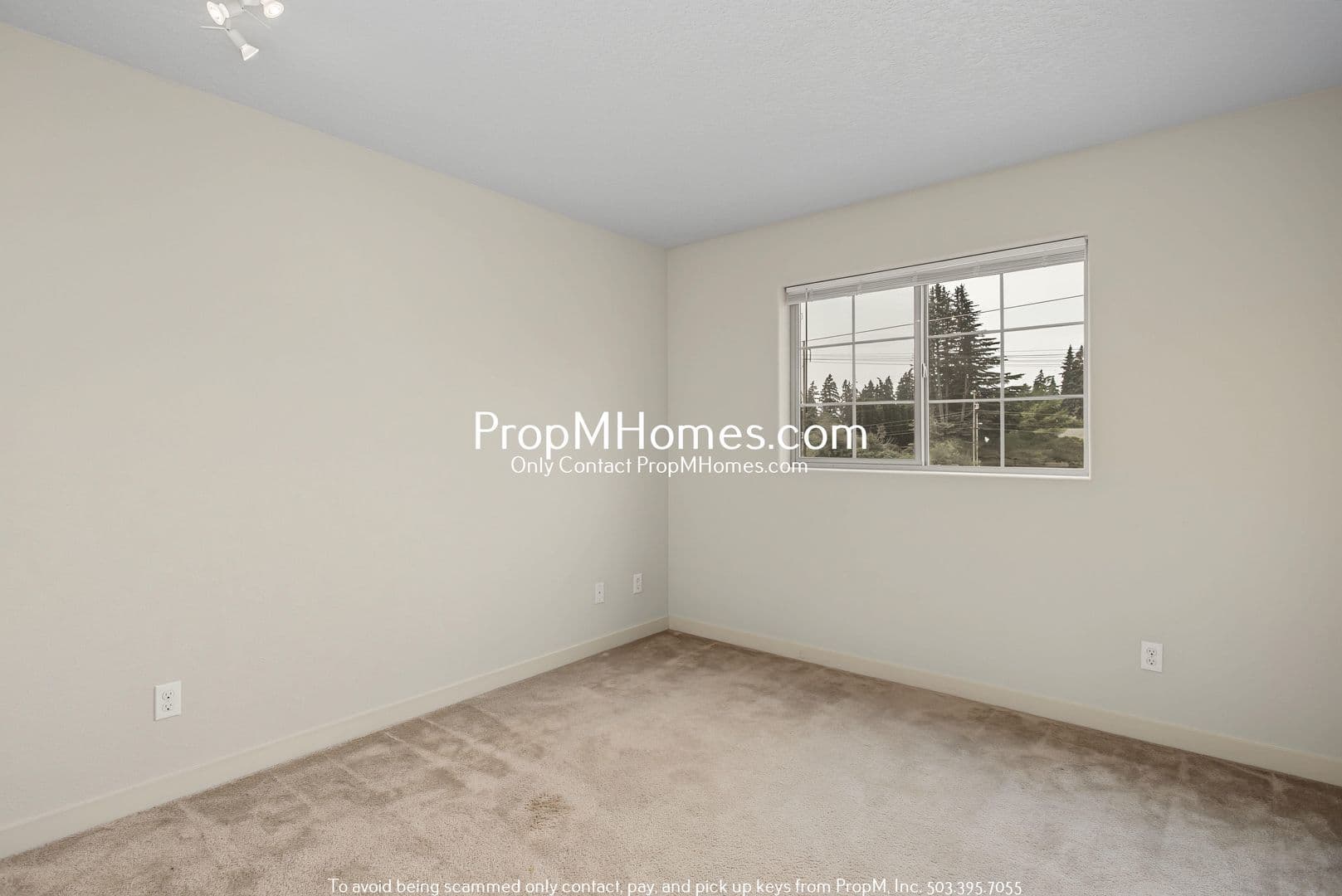 King City House: 16825 SW Romeo Terrace - NEW PROPERTY