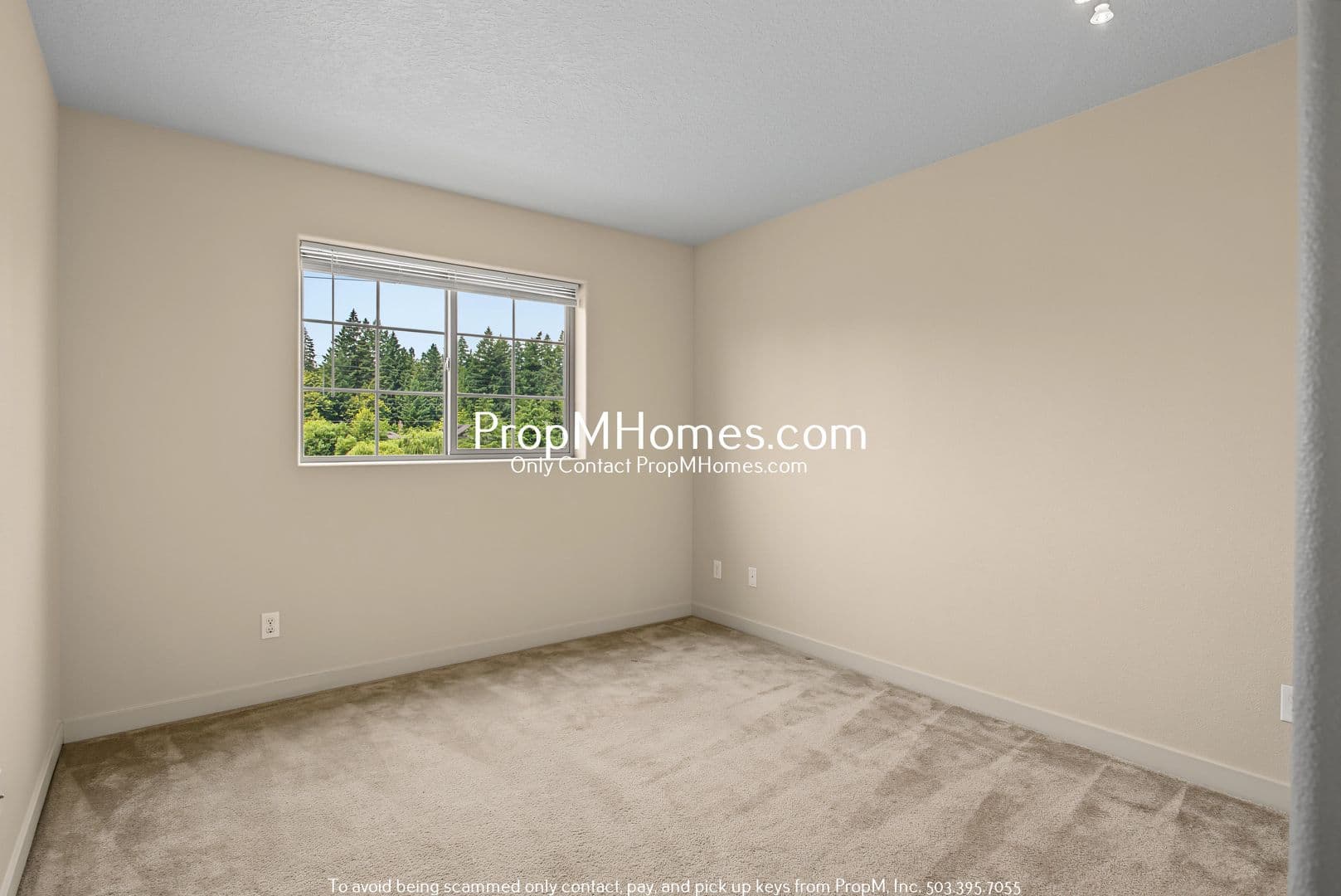 King City House: 16825 SW Romeo Terrace - NEW PROPERTY