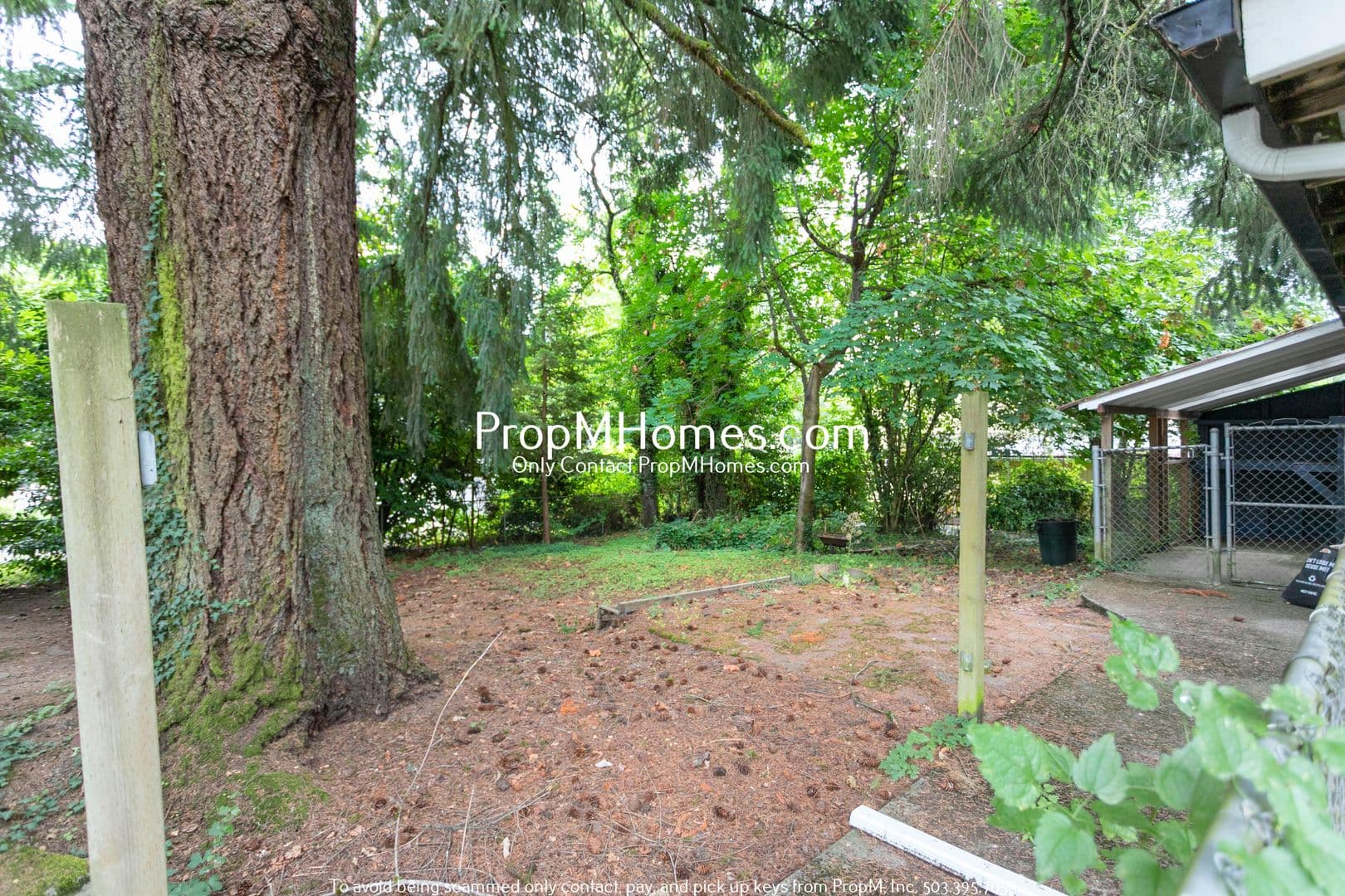 Lake Oswego House: 776 C Avenue